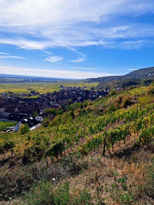 Entre Vignes Et Vergers Gite Parenthese Gueberschwihr Екстер'єр фото